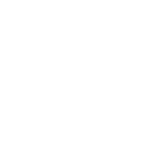 NEW_LOGO_NS-branco