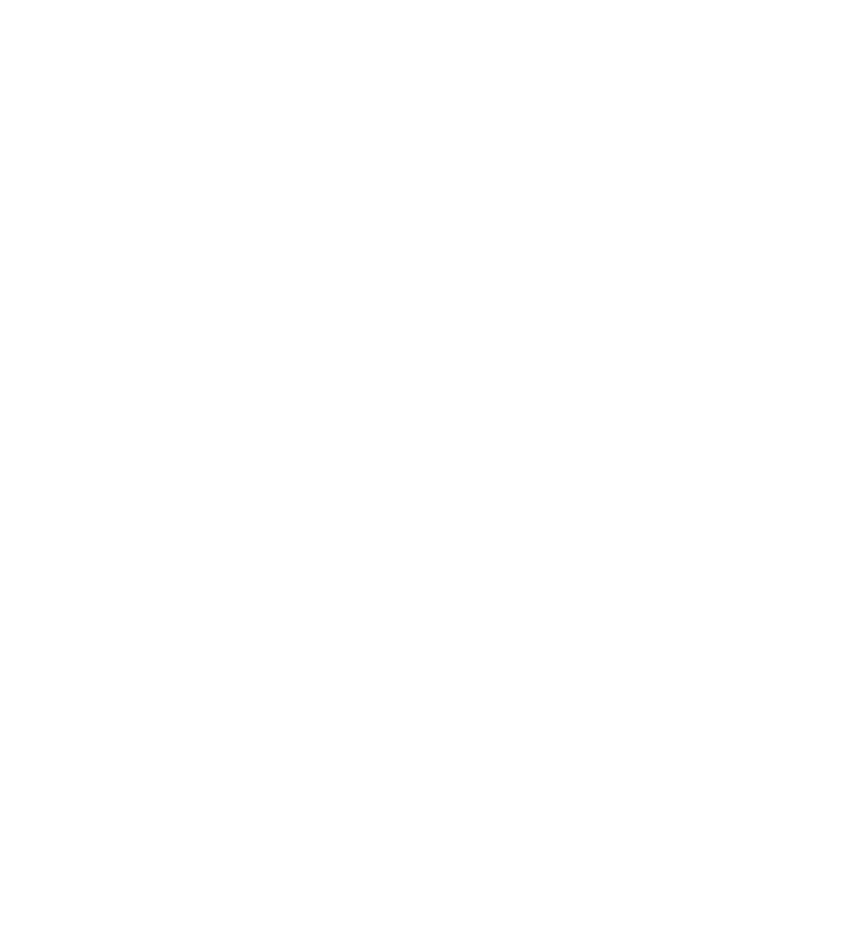 NEW_LOGO_NS-branco